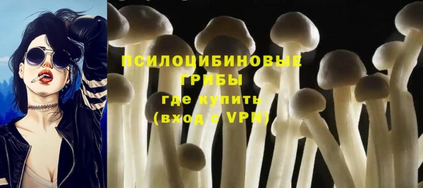 MDMA Premium VHQ Зеленокумск